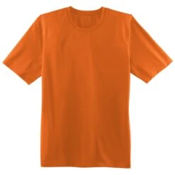 Brooks Podium Mens Running Shirt -Pulley Shop 17294 ORANGE801 317e4f30 91cd 4ef7 ab59 b0df2b795a5d
